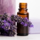 Lavender Oil