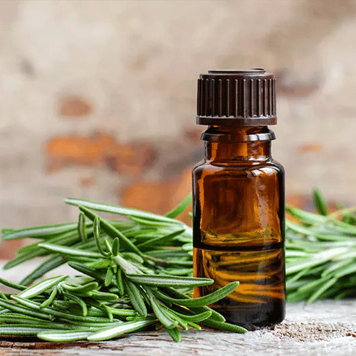 Rosemary Oil