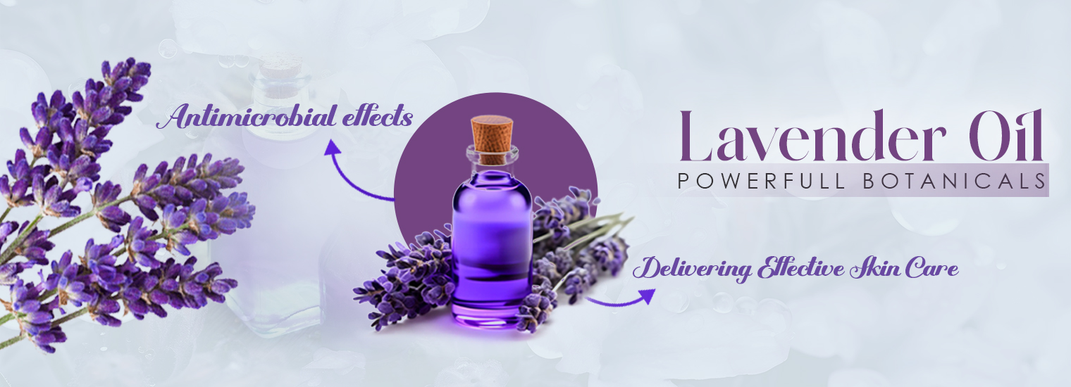 Lavender Oil